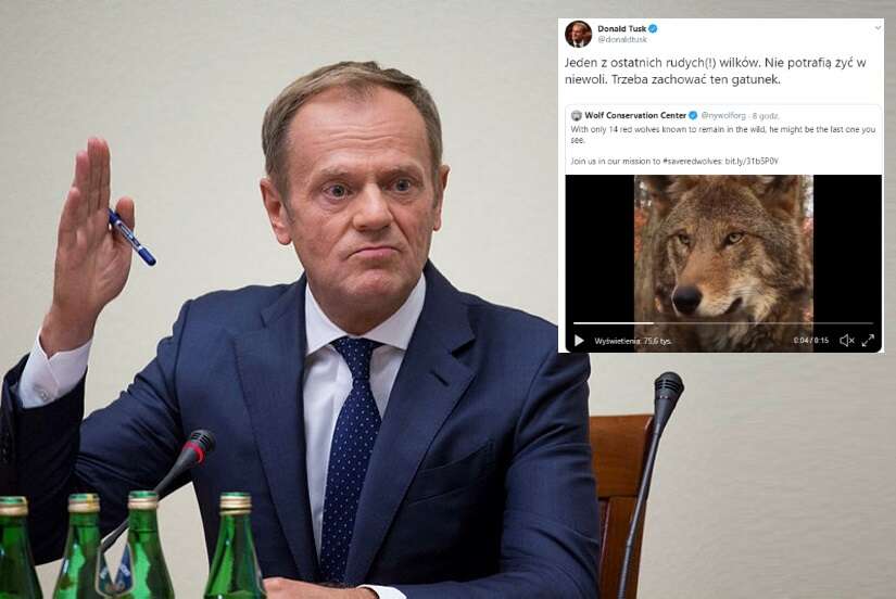 Donald Tusk / autor: fratria/TT