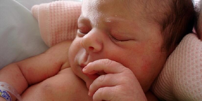 Fot.zdjęcie ilustracyjne freeimages.com