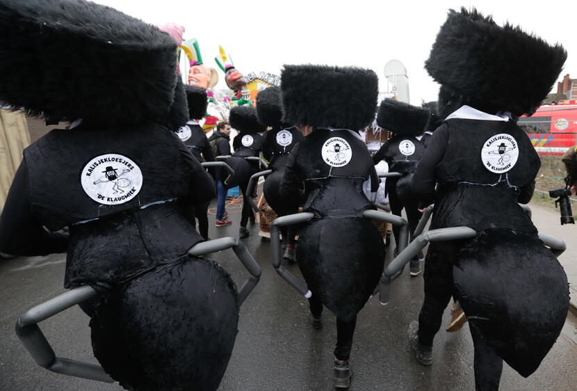 Parada karnawałowa BELGIA