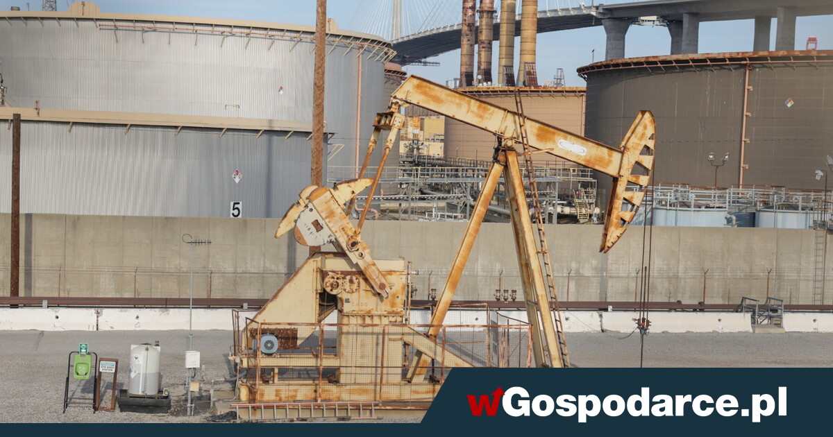 Surowce przez cały czas kluczowym elementem politycznej gry?