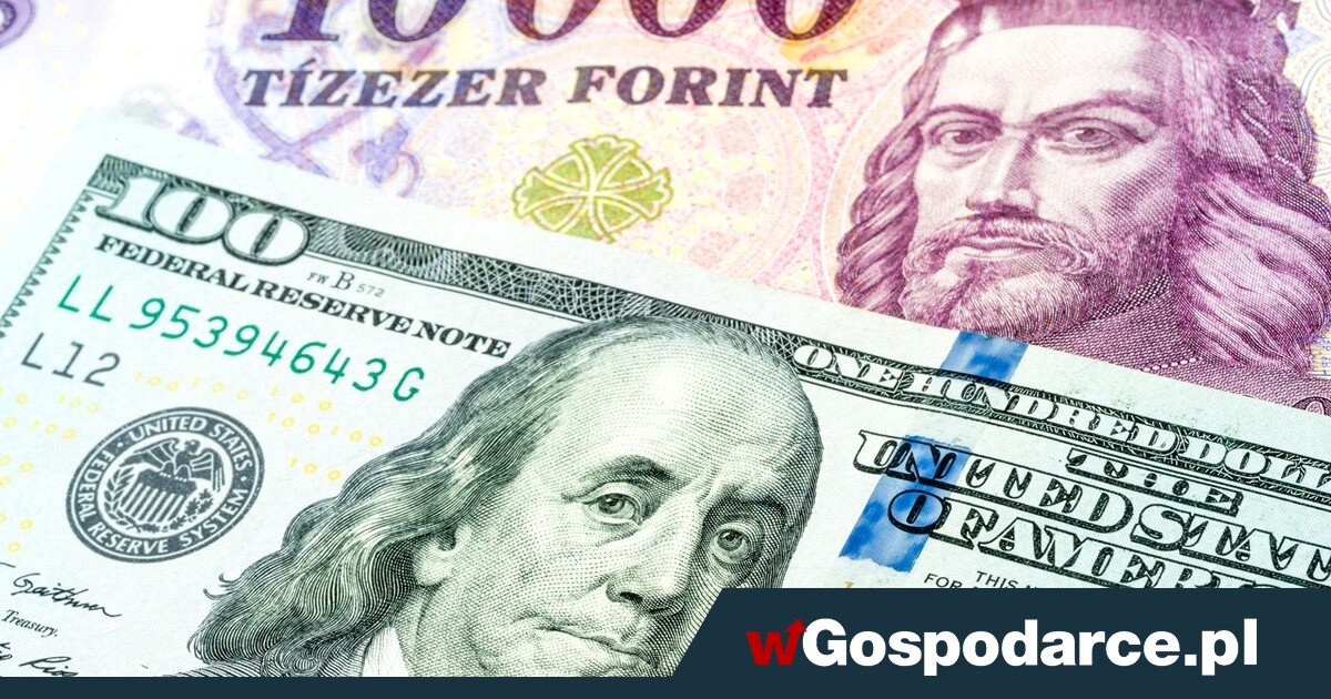 Waluty Europy Środkowej biją rekordy