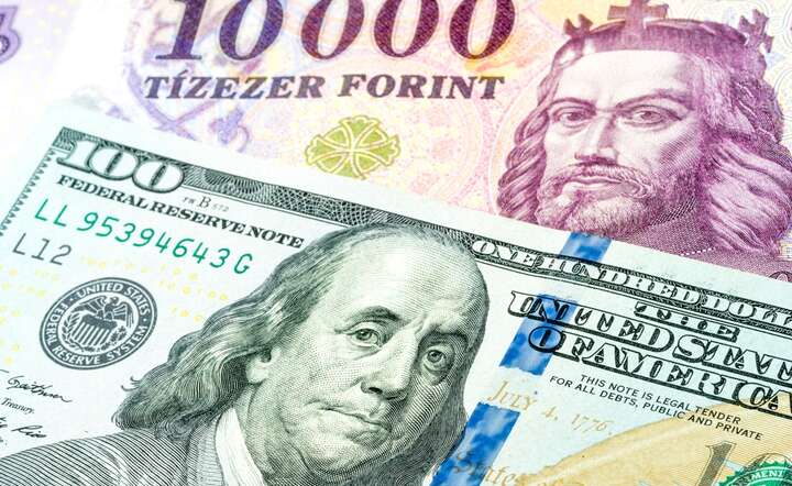 Waluty Europy Środkowej biją rekordy