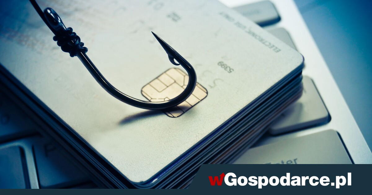 Hakerzy wykorzystują handel i podszywają się pod gigantów - wGospodarce.pl