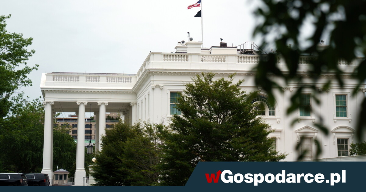 Czy „gołębia” strategia Trumpa wobec Putina ma sens?