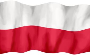 Sikorski: rząd wyda 8 mln zł na promocję Polski za granicą