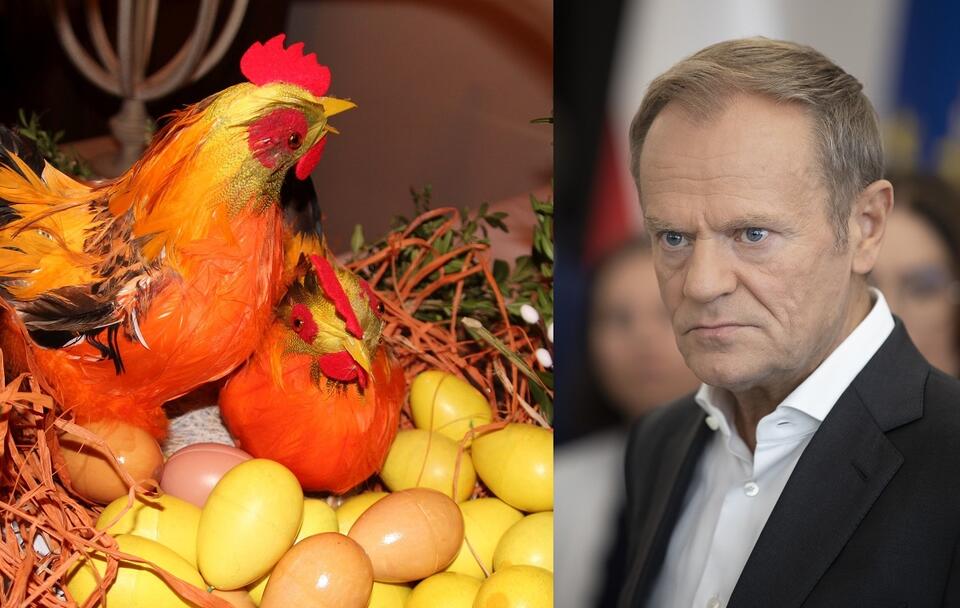 Donald Tusk / autor: Fratria