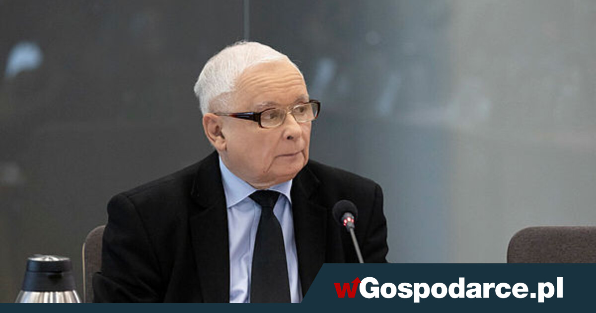 Survey for 'SE': Kaczyński inactive  the leader