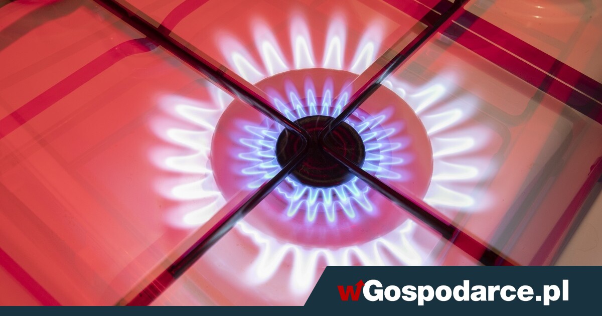 Cena i dostępność LPG istotna dla 41 proc. Polaków