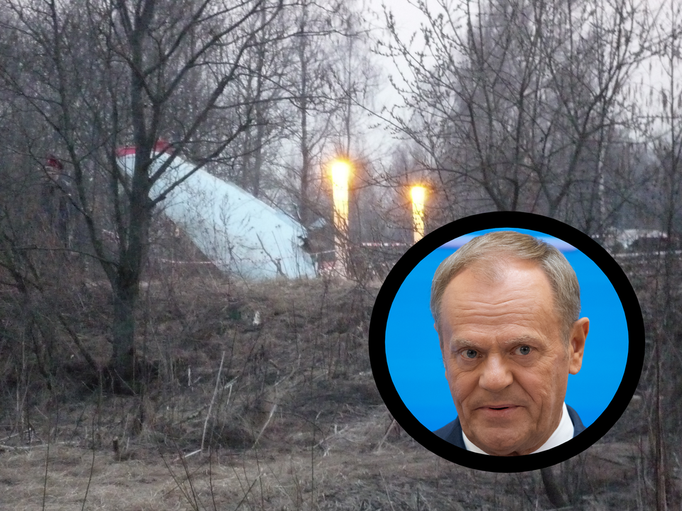 Katastrofa smoleńska / Donald Tusk / autor: Fratria