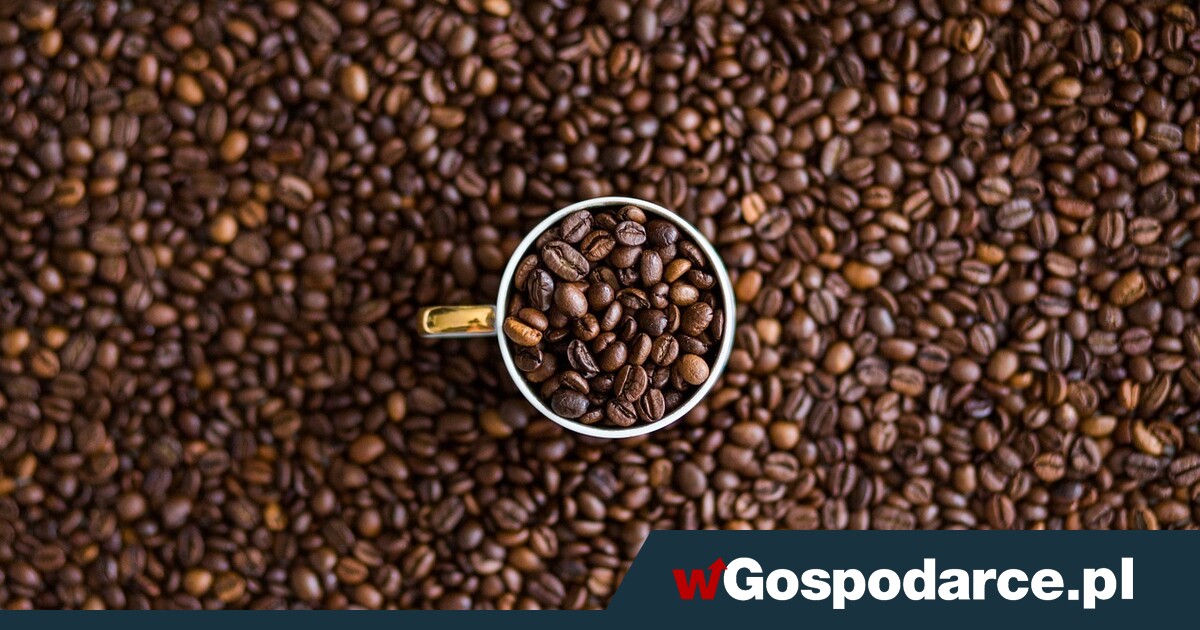 Ceny kawy blisko rekordu wszech czasów