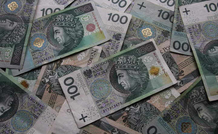 Wynagrodzenia w Polsce wzrosły  / autor: Pixabay