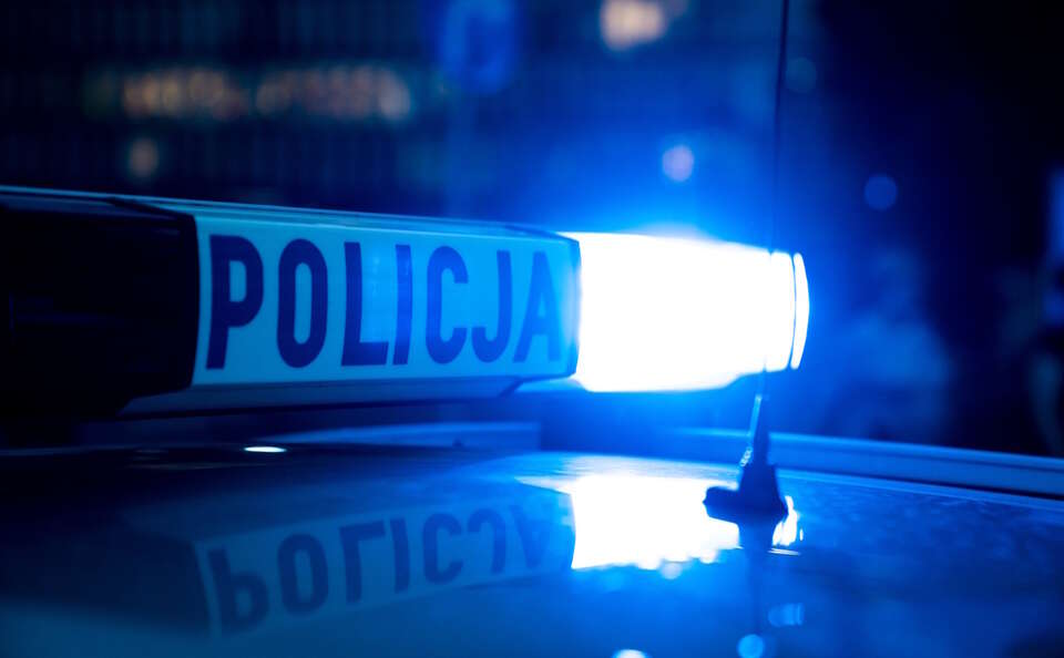 autor: Andrzej Skwarczyński