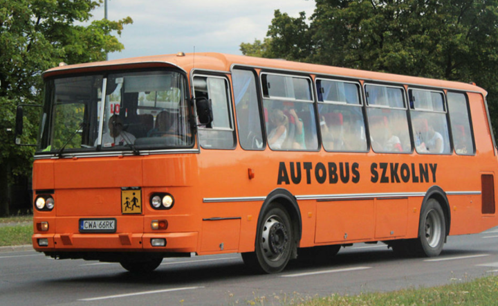 Autobus szkolny / autor: Fratria