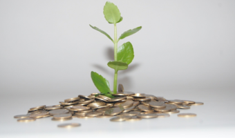 Wyniki finansowe NFOŚiGW lepsze od planowanych