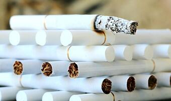 Co właściwie palimy w papierosach?