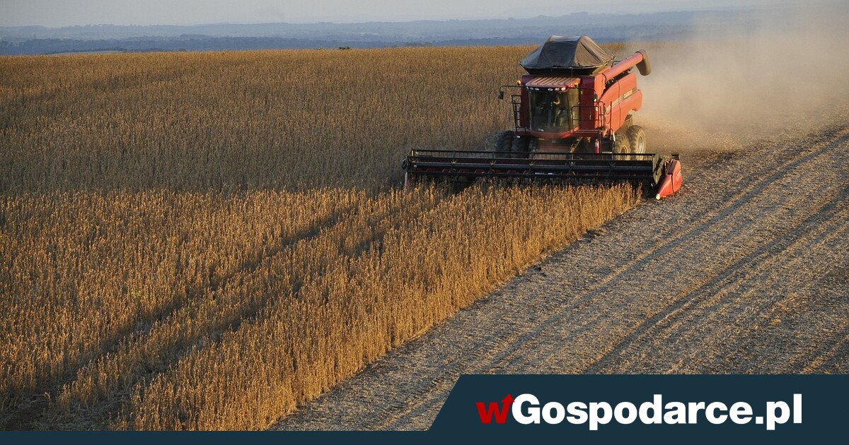 Polska już zależna od soi z Mercosur