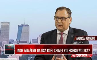 WYWIAD GOSPODARCZY: Jakie wrażenie na USA robi sprzęt polskiego wojska?