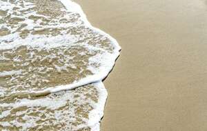 Na plaży znaleziono skamieliny kości różnych zwierząt sprzed 10 mln lat / autor: Fratria