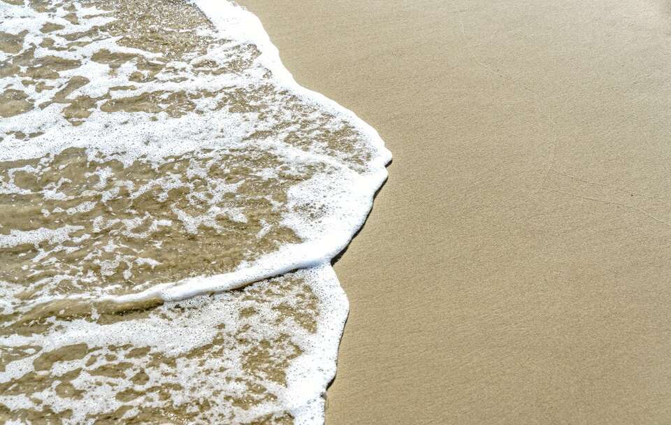 Na plaży znaleziono skamieliny kości różnych zwierząt sprzed 10 mln lat / autor: Fratria