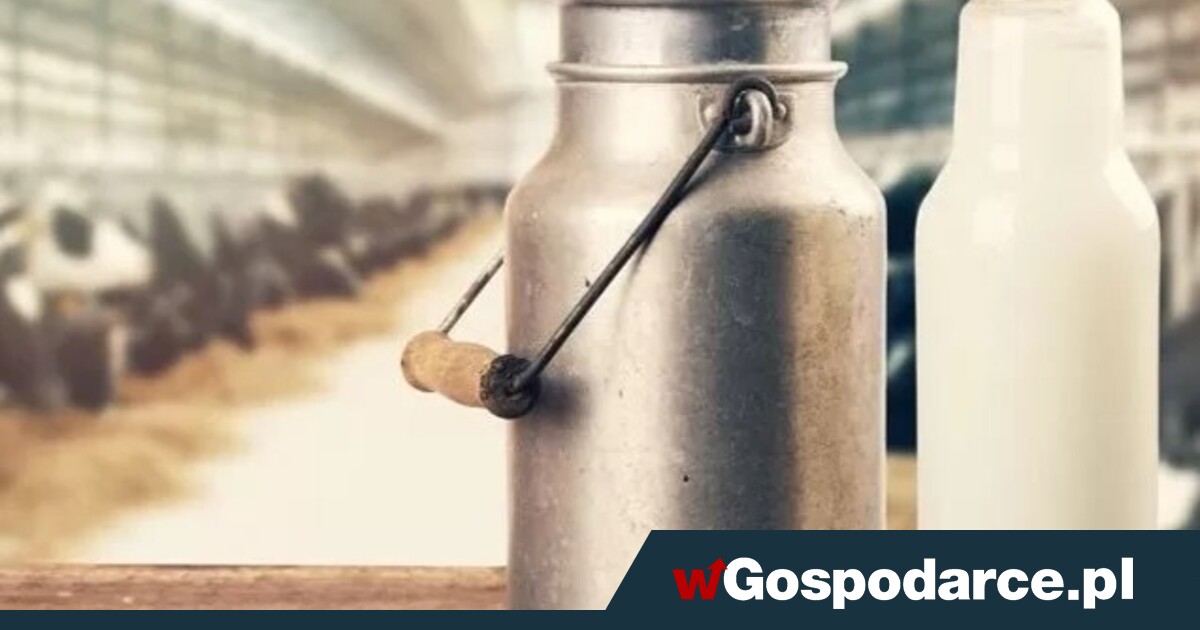 Każdy skup pod kontrolą państwa