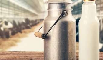 Każdy skup pod kontrolą państwa