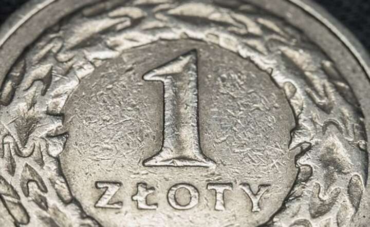 Polska waluta wyraźnie traci na wartości. Jednocześnie fundamenty złotego pozostają solidne / autor: Pixabay