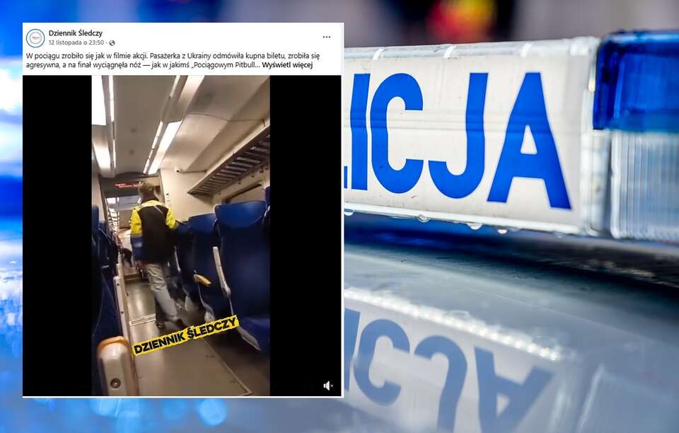 Kobieta z Ukrainy groziła nożem konduktorowi i innym pasażerom w pociągu pod Zieloną Górą / autor: Fratria @Facebook - dzienniksledczy