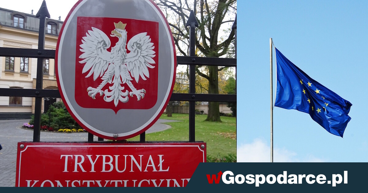 Zapadł wyrok TK! "Polska nie musi wdrażać Zielonego Ładu"
