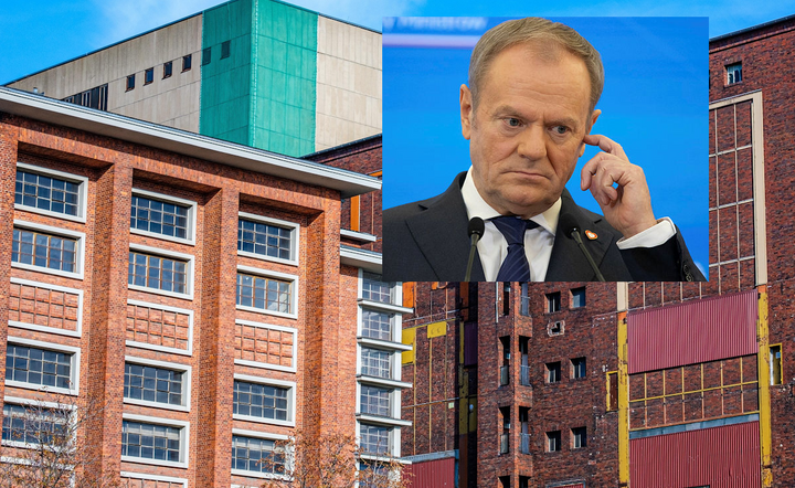 Premier Donald Tusk / autor: Fratria/Pixabay