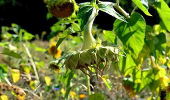 Pieniądze płyną do rolników