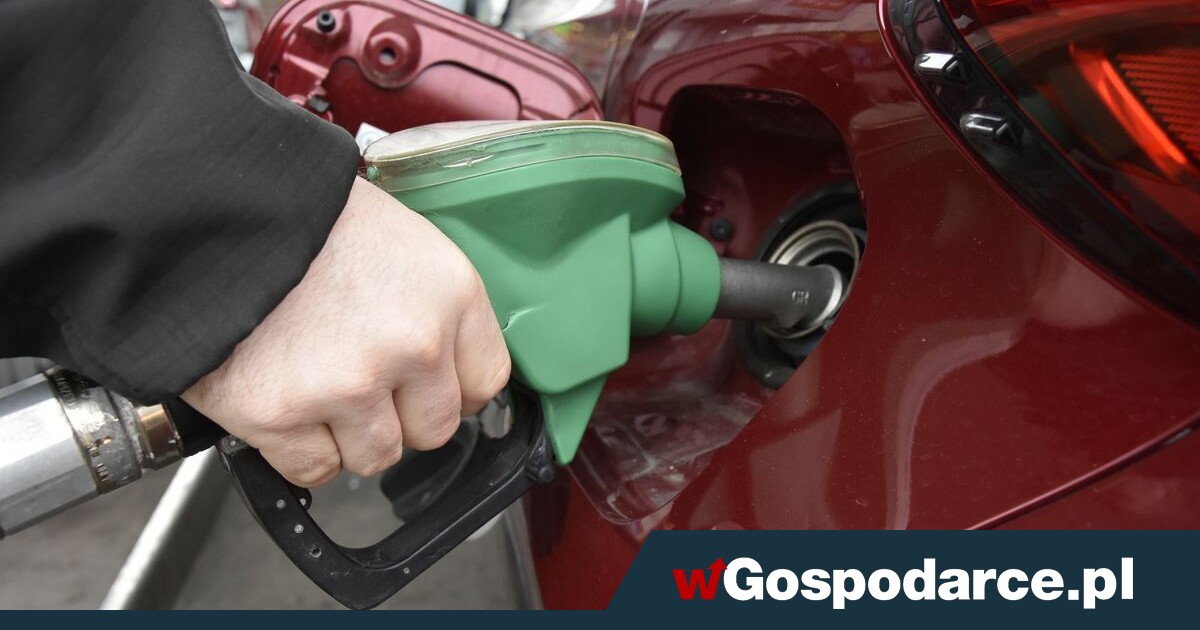 Tanie tankowanie w wakacje? Wiemy kiedy!