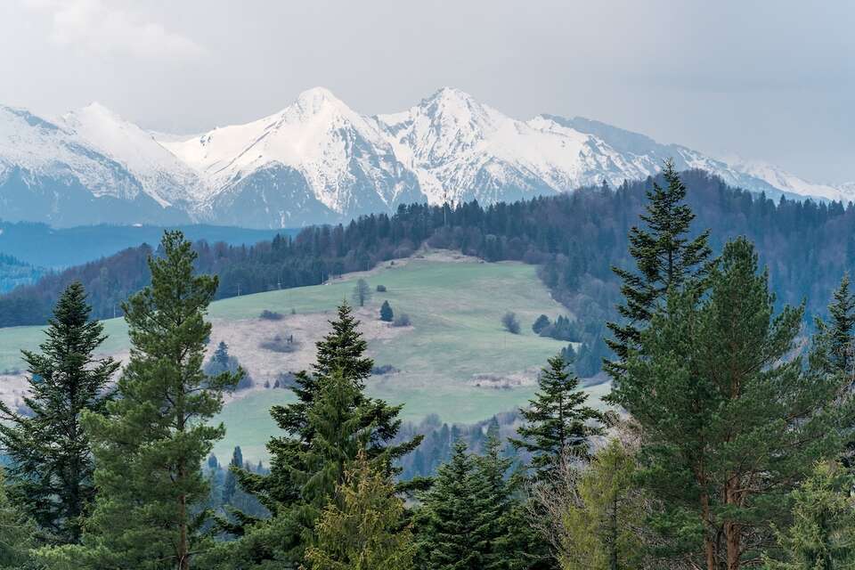 Widok na Tatry / autor: Fratria