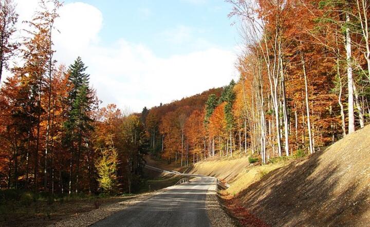 Malownicza droga w Bieszczadach / autor: Pixabay