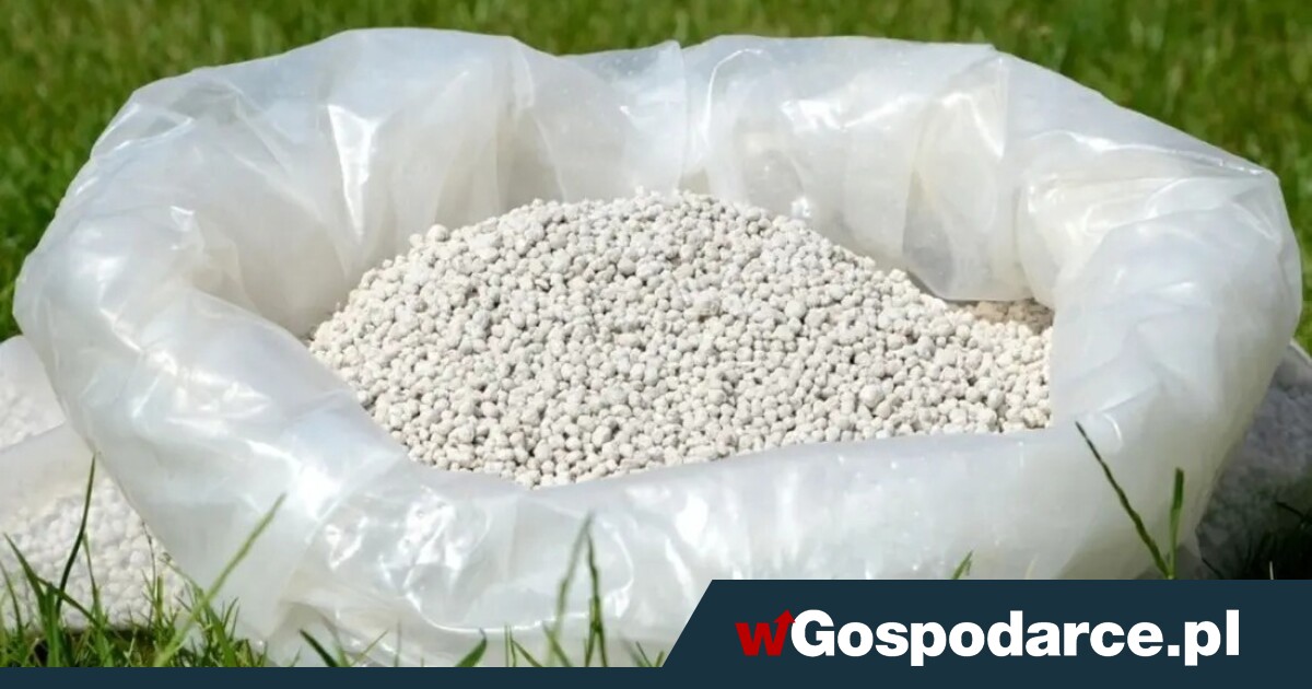 Nawozy mogą jeszcze podrożeć. Jest prognoza