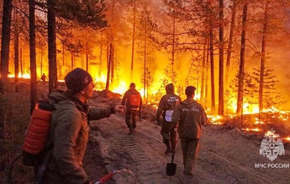 Od początku roku w Rosji spłonęło pięć milionów ha lasów