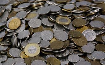 EBC i Szwajcaria ochronią złotówkę