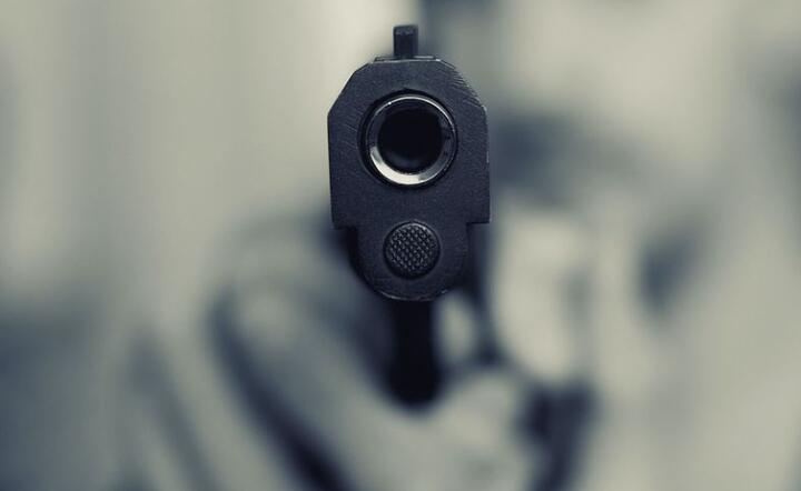 Broń palna  / autor: Pixabay 