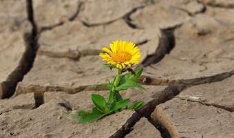 Zmiany klimatyczne: upalne lata, zimowa plucha