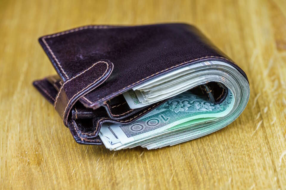 Portfel z polskimi pieniędzmi / autor: Fratria