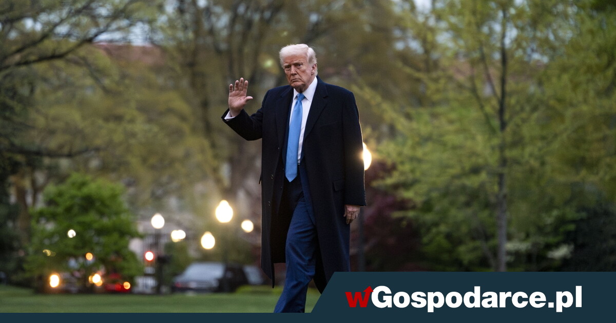 Accurate Poker! Donald Trump Raises the Stakes