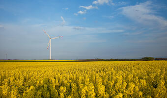 Belgia stawia na stawianie farm wiatrowych
