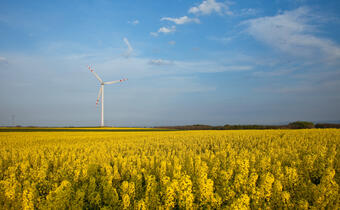 PGE chce budować farmy wiatrowe