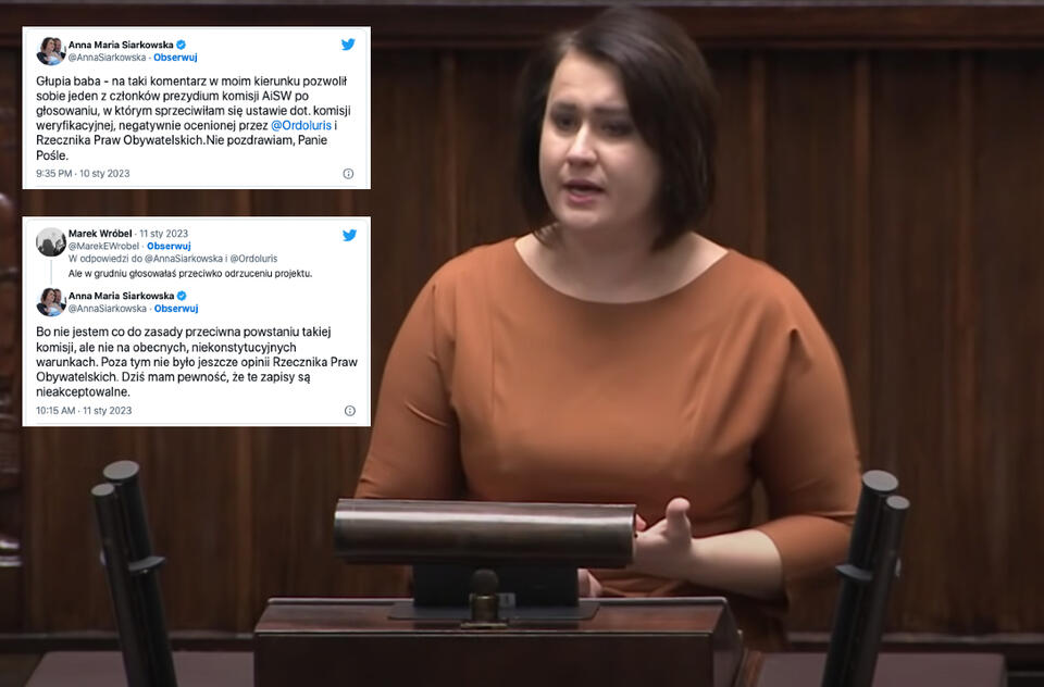 Anna Maria Siarkowska  / autor: Sejm/Twitter