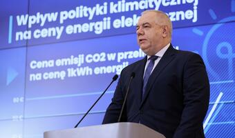 Sasin: spółki SP robią wszystko, by ograniczyć wzrost cen