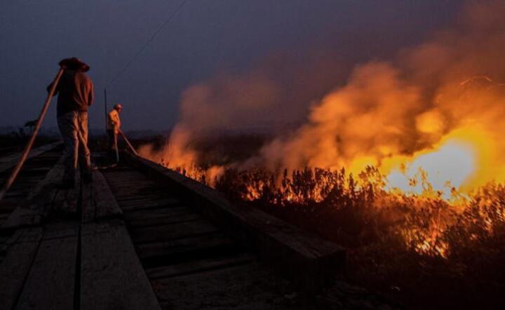 Strażacy podczas gaszenia amazońskich lasów  / autor: PAP