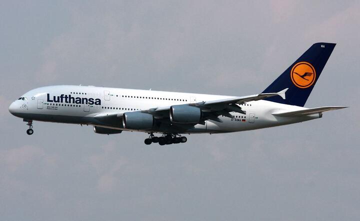 Lufthansa  / autor: Wikipedia 