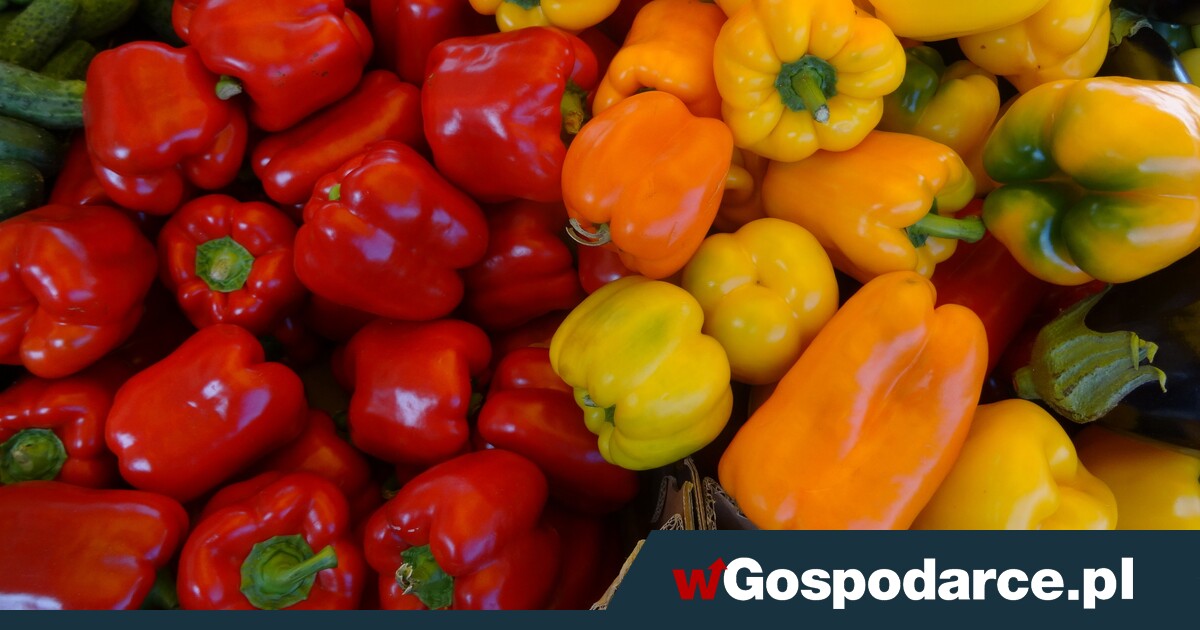 Afera z "samozbiorami": Sieci handlowe szantażują rolników?