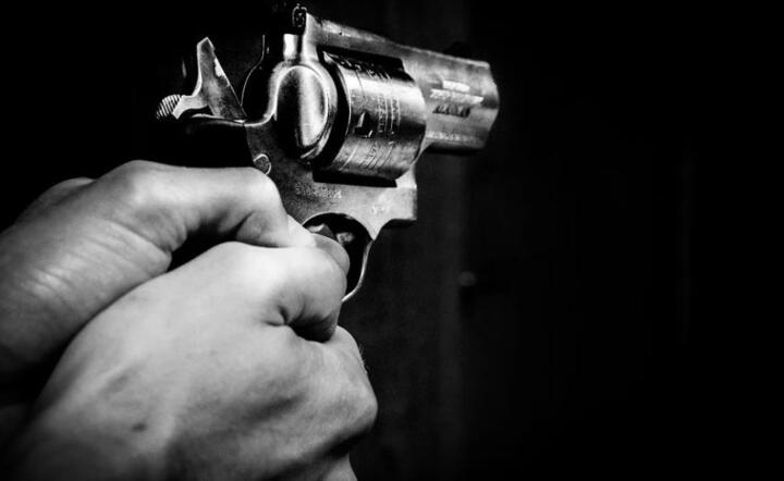 Broń palna - zdjęcie ilustracyjne  / autor: Pixabay 