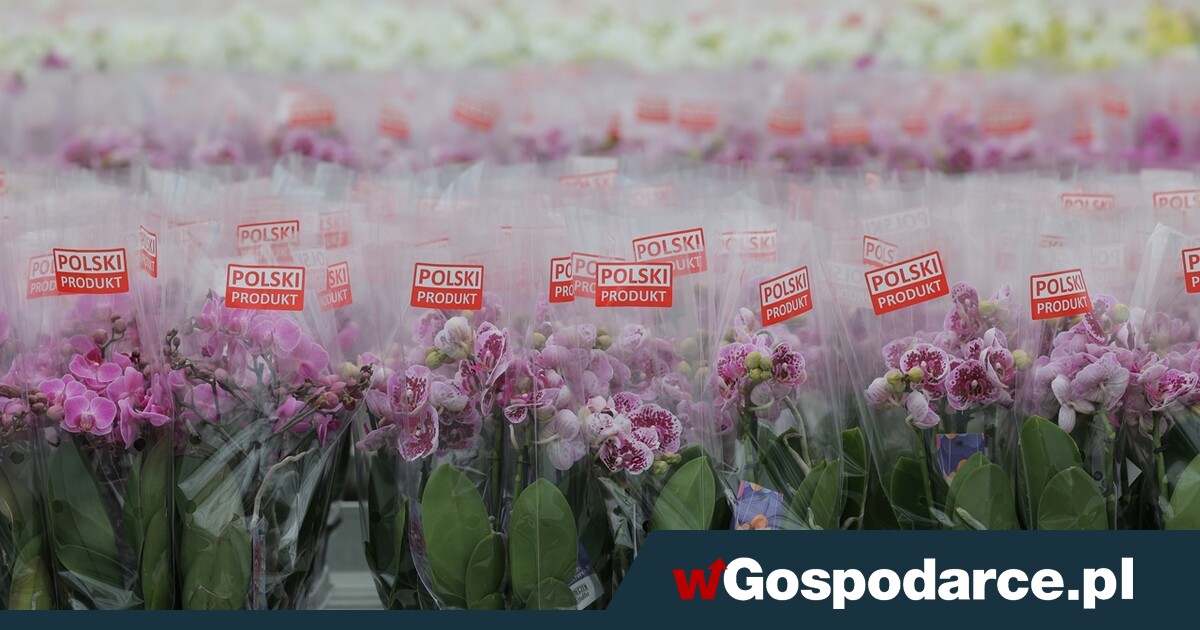 Przybyło firm! Co piąty biznes ma siedzibę na Mazowszu