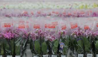 Przybyło firm! Co piąty biznes ma siedzibę na Mazowszu